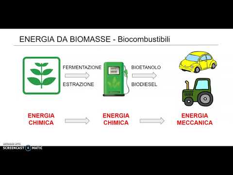 Video: In che modo la biomassa e i combustibili fossili sono simili?