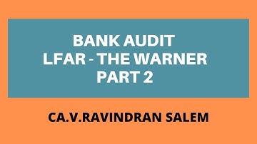 Bank Audit LFAR The WARNER PART 2-Money and Investments