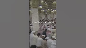 #القارئ : ماهر المعيقلي  - #سورة_الأنعام : ١ - ١١