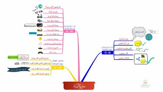 احفظ سورة النبأ بالخرائط الذهنية بالتكرار ومع التدبر (1)