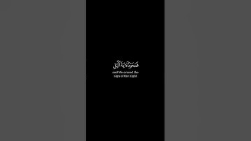 ويدع الإنسان بالشر دعاءه بالخير _القارئ ياسر الدوسري_#كرومات_قرآن #quran