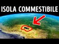 Quest’Isola si può Letteralmente Mangiare + altre 4 Isole Rare