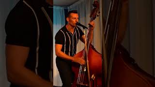 Rockabilly Boogie #rockabilly #livemusic #like  #musicgenre #musicstyle #rockabillymusic #music