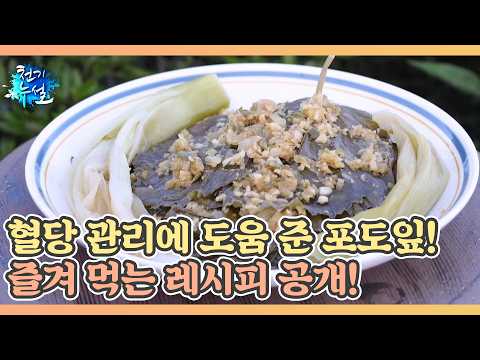 혈당 관리에 도움 준 포도잎! 1년 내내 즐겨 먹는 레시피 공개! MBN 260814 방송