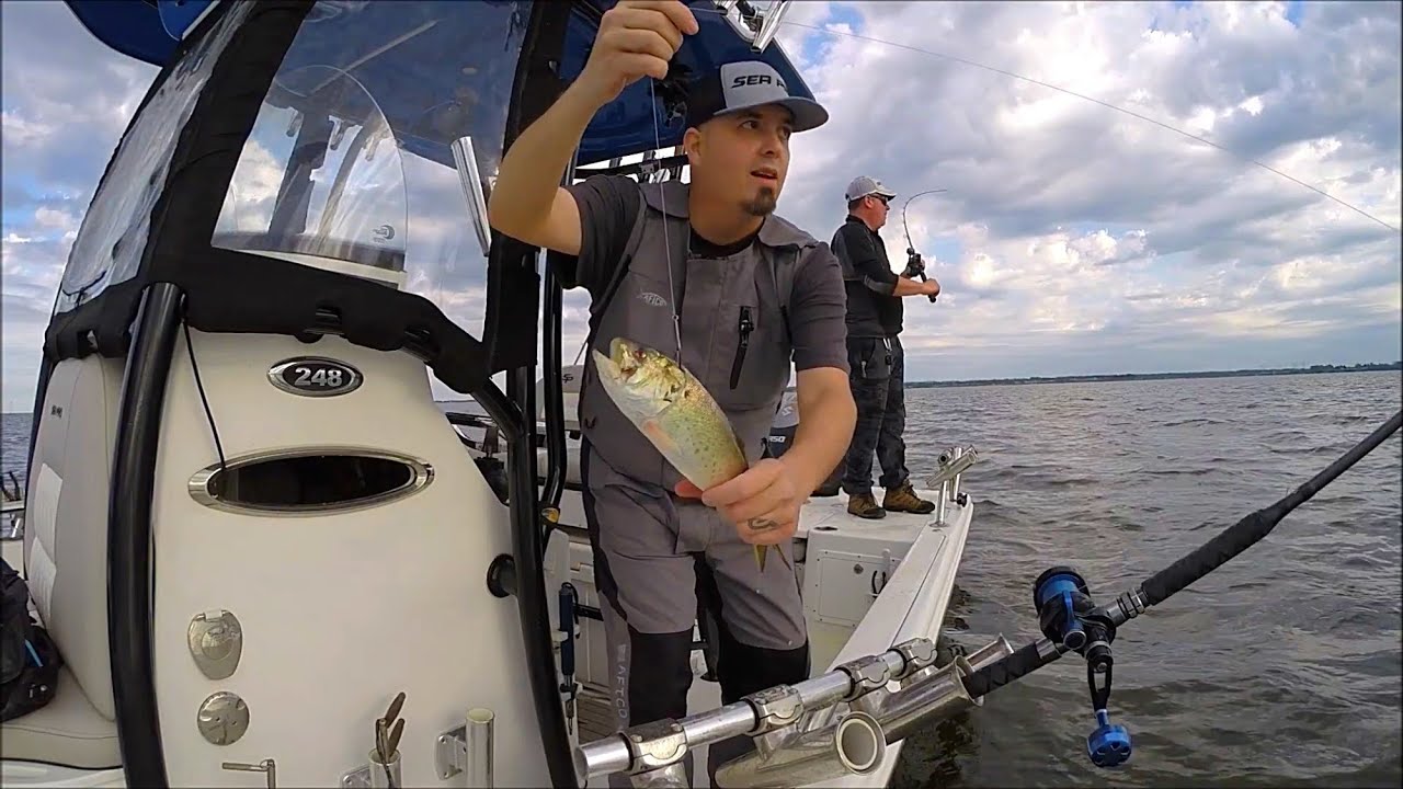 How to find and catch Stripers with LIVE BAIT Striper Fishing YouTube