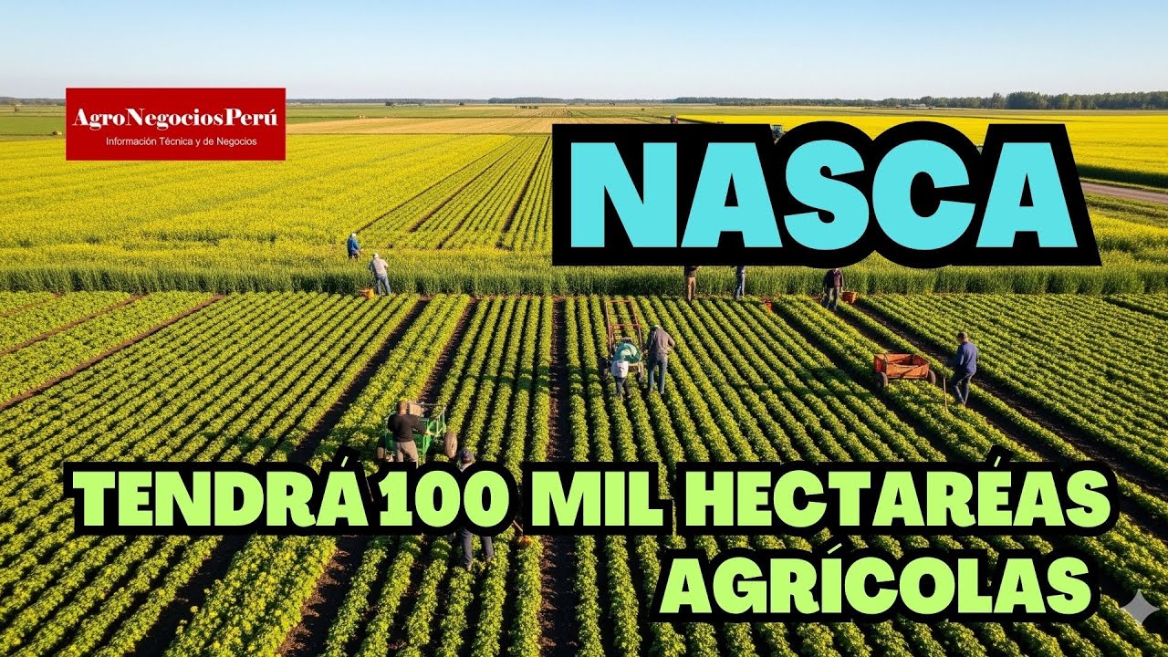 NASCA: Proyecto para irrigar 100 mil hectáreas entregarán el próximo año