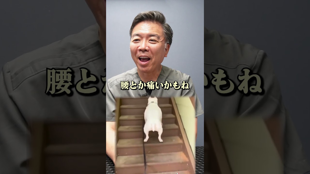 この子はどんな症状?階段ぴょんぴょん#shorts