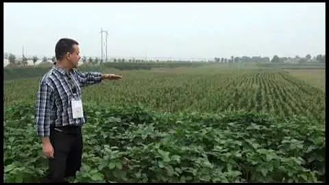 Porque a China importa alimentos em grande quantidade?