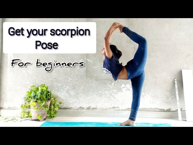 Young slender female is standing at scorpion pose. Athletic brunette woman  in black uniform is practicing yoga, balancing in vrschikasana posture at  fitness studio. Healthy lifestyle concept. Stock Photo | Adobe Stock