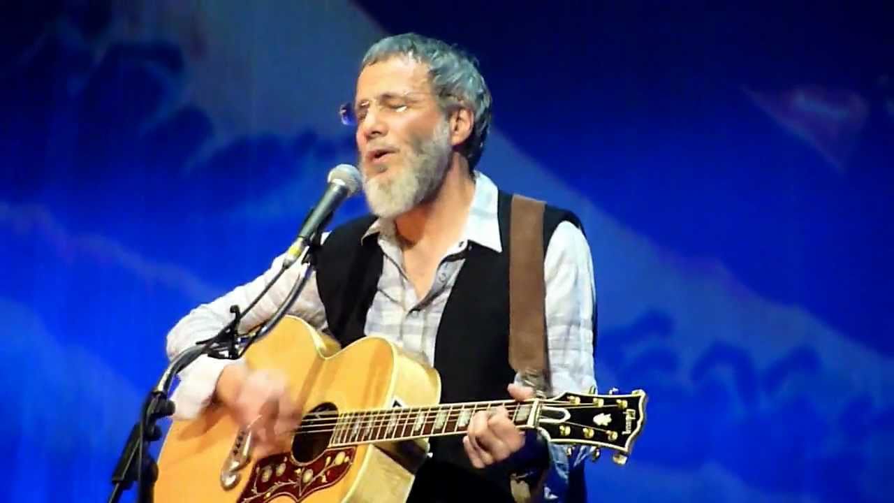 youtube cat stevens