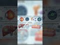 In vivo cell engineering and gene therapy @I-Biotic