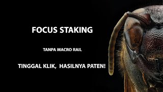 Easy Focus Stacking or Macro Stacking Using  Free Software screenshot 5