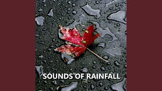 Laid Back Rain Sounds