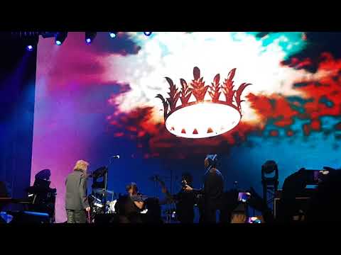 Robert plant - black dog (რობერტ პლანტი)