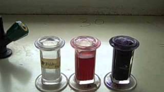 Microscopic Staining for Blood Parasites - Multi-Lingual Captions