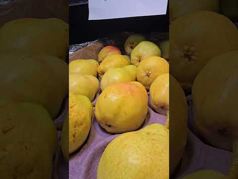Hortifruti