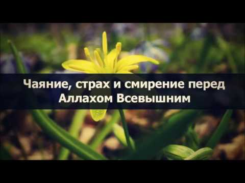 Чаяние, страх и смирение перед Аллахом Всевышним || Абу Яхья Крымский