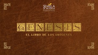 Génesis 7