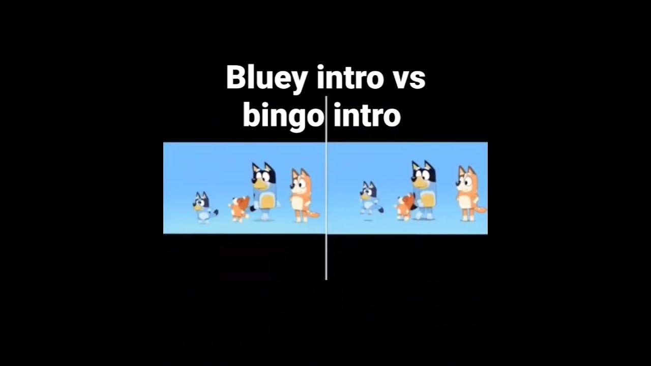 bluey intro vs bingo intro #shorts #bluey