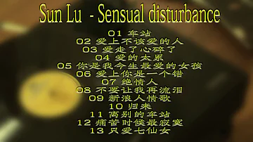 Sun Lu    Sensual disturbance