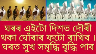 Benefit Of Seven Running Horse. By Assamese Astrology.