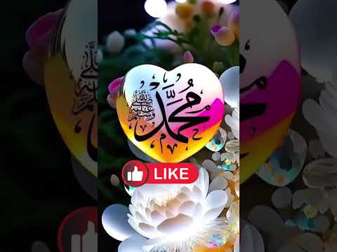 حوت بيصاحب ولد صغير قصص قصيرة دلافين حيوانات ذكية قصص حقيقية حيوانات لطيفة اكسبلور فوريو