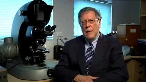 2009 Charcot Award Lecture - Pt 2 - The Pathogenesis of relapsing and remitting MS