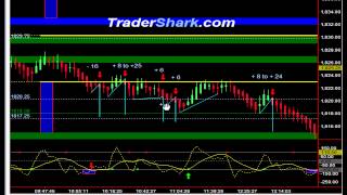 Hook Patterns Rule - Trading Video - Jan 23, 2014 screenshot 2