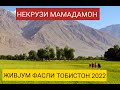 НЕКРУЗИ МАМАДАМОН ТОБИСТОН 2022