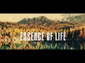  devi reed  essence of life official music 4k