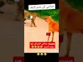 اضح على عياشي مروكي وقت الصح