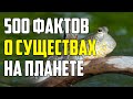 500 ИНТЕРЕСНЫХ ФАКТОВ О СУЩЕСТВАХ, КОТОРЫХ МЫ БОИМСЯ