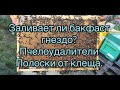 Заливает ли Бакфаст гнездо ? Пчелоудалители , полоски