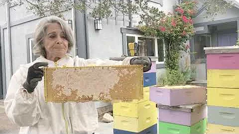 Joan Levison and her Bee Hive High Holidays 2020