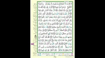 الصفحة ٣٦٤ من القرآن الكريم...القارئ د.بريك سعد بريك