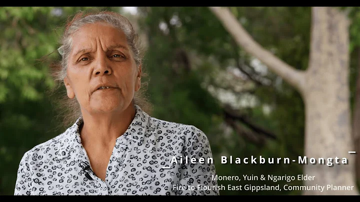 Fire to Flourish Funded Project: Aboriginal Art & Culture On Country