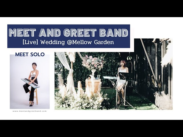 [Live] Meet Solo งานแต่ง @Mellow Garden | Meet and Greet วงดนตรีงานแต่ง งานเลี้ยง Event