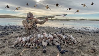 Duck Hunting Opening Day on a Local Mud Pond!