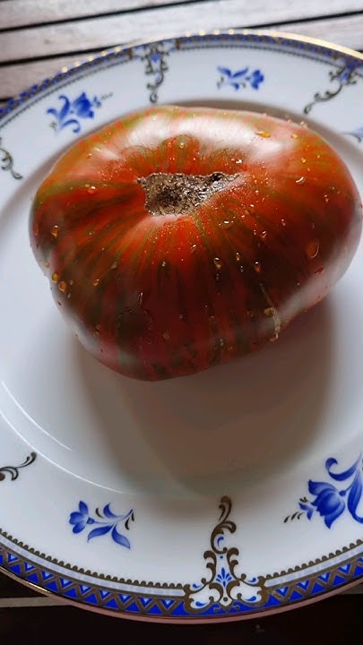 Помидоры "Шоколадная зебра"!🍅#огород #помидоры #томаты #дача #интересно ...