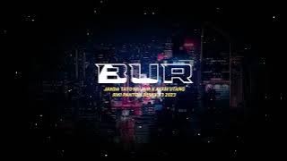 JANDA TATO MUJAIR X AYAM UTANG - RIKI PANTOW REMIX - T3 - (DISKO TANAH) 2023