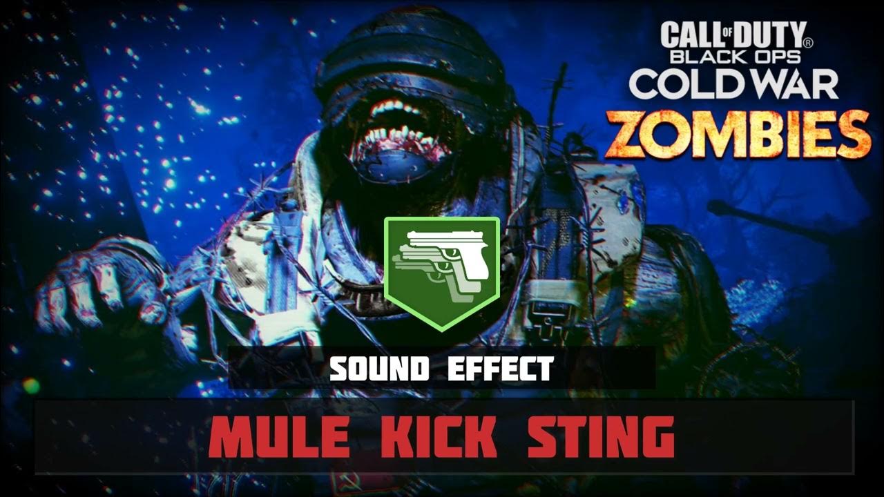 Call of Duty Black Ops Cold War (Zombies) Mule Kick Sting ♪ YouTube