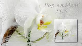 Bvdub - In White Pagodas, I’ll Wait For You &#39;Pop Ambient 2015&#39; Album