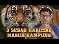 3 Sebab Harimau Masuk Kampung