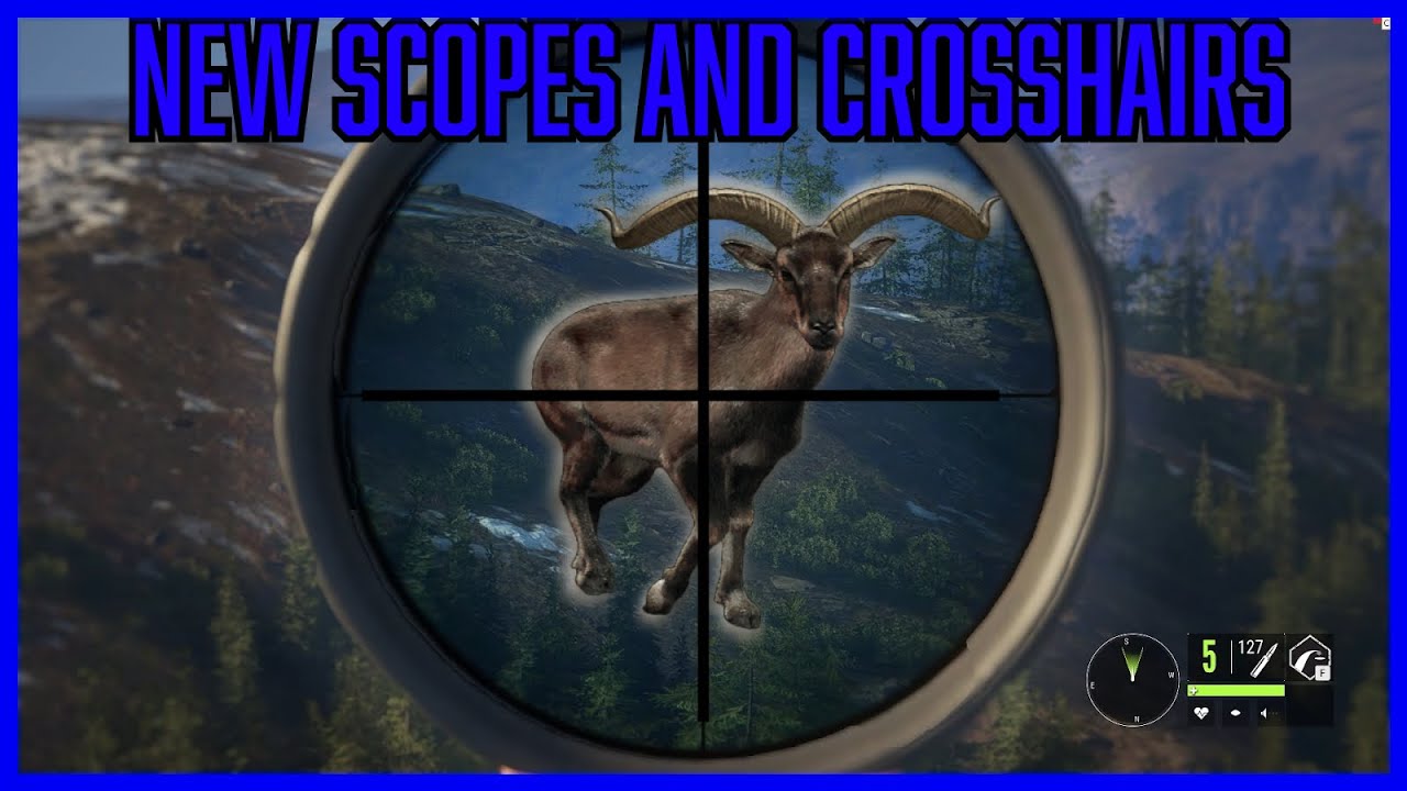 The New Scopes Are Finally Here!!! - YouTube