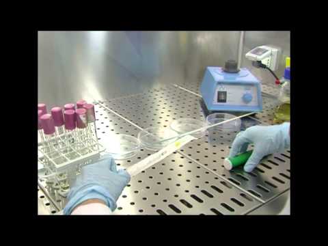 Video: Che cos'è la garanzia di qualità in laboratorio?