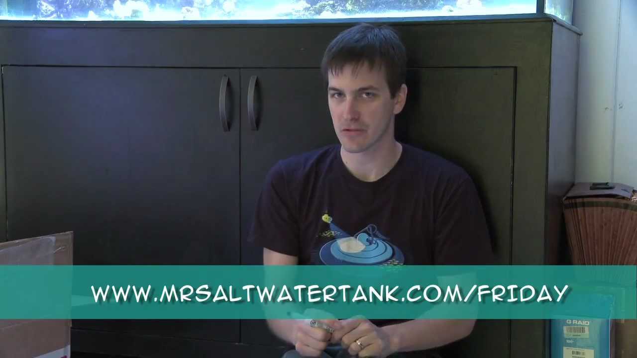 how to videos on tiktok Mr. Saltwater Tank TV Friday Am Quick Tip #75: Easier To Remember Than Your Anniversary