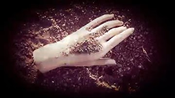 Insight-Last Goodbye (New Official Video 2019)