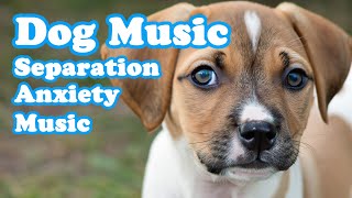 Music for Lonely Dogs! Keep Your Dog Relaxed, Dog Music, Calm Music