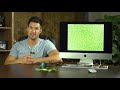 《CARSON》USB蛋型數位顯微鏡(65x) product youtube thumbnail