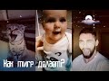 Подборка видео трендов из Тик Ток "Как тигр делает?"